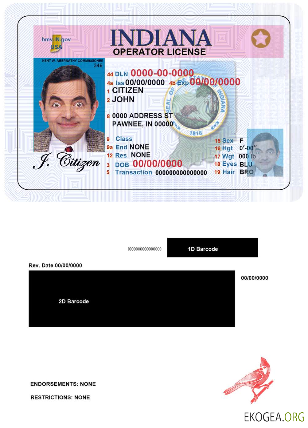 Usa Indiana driving (operator) license template